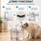 Bebedero Fuente Agua Automático Gatos